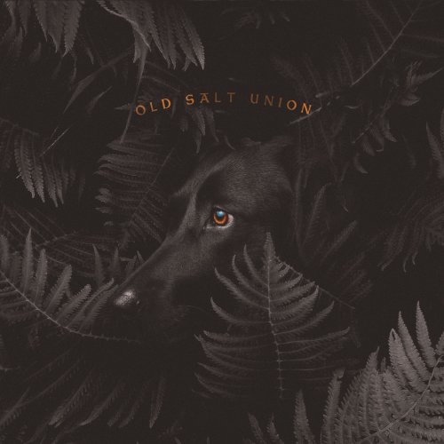 Old Salt Union - Where The Dogs Don't Bite (2019) [Hi-Res]