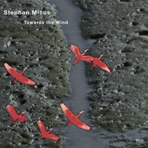 Stephan Micus - Towards The Wind (2002)