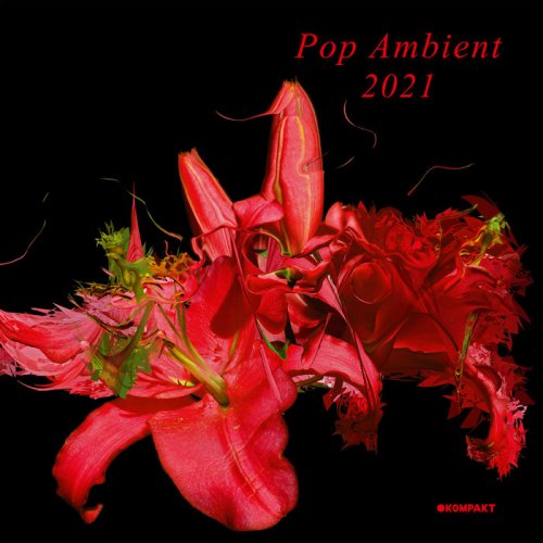 VA - Pop Ambient 2021 (2020)