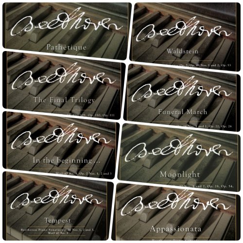 Martin Roscoe - Beethoven Piano Sonatas, Vol. 1-8 (2010-2020)