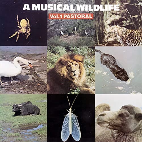 Sam Sklair - A Musical Wildlife, Vol. 1: Pastoral (2020) [Hi-Res]