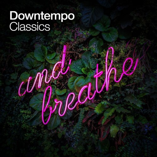 VA - Downtempo Classics (2020)