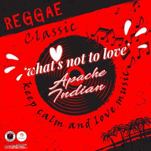 Apache Indian - What's Not To Love (2020)