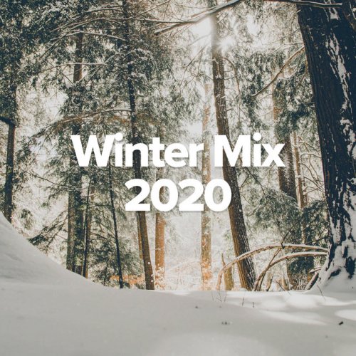 VA - Winter Mix 2020 (2020)