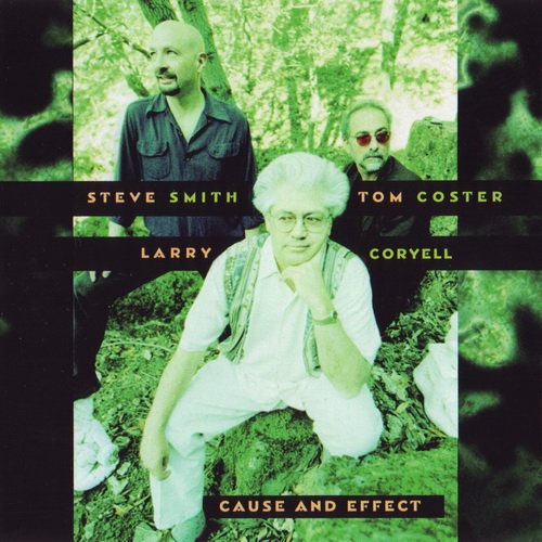 Larry Coryell, Tom Coster, Steve Smith - Cause And Effect (1998)