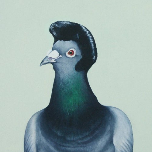 Micko & The Mellotronics - 1/2 dove - 1/2 pigeon (2020)