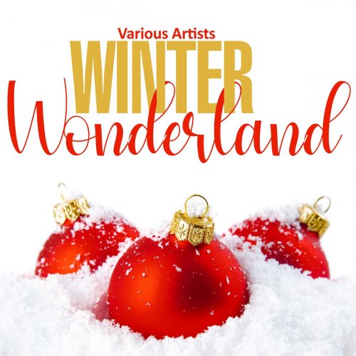 VA - Winter Wonderland (2020)