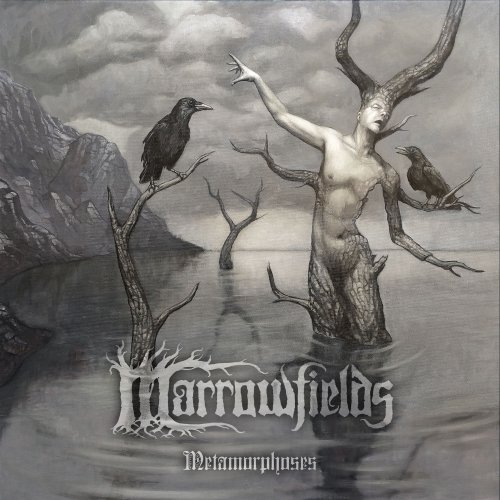 Marrowfields - Metamorphoses (2020) Hi-Res