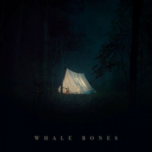 Whale Bones - The Doors Are Locked, the Blinds Are Closed, I Am Not Home (2020)