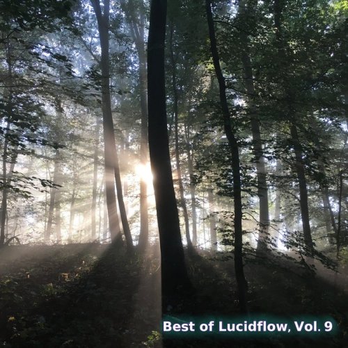 VA - Best of Lucidflow, Vol. 9 (2020)