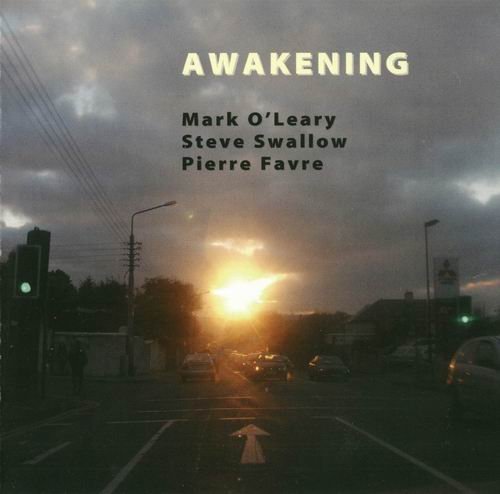 Mark O'Leary, Steve Swallow, Pierre Favre - Awakening (2006)