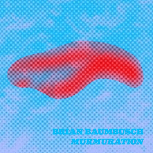 Brian Baumbusch - Murmuration (2020)