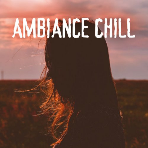 VA - Ambiance Chill (2020) flac