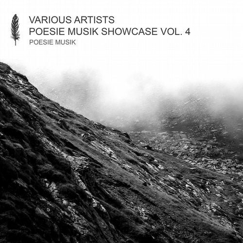 VA - Poesie Musik Showcase, Vol. 4 (2020)