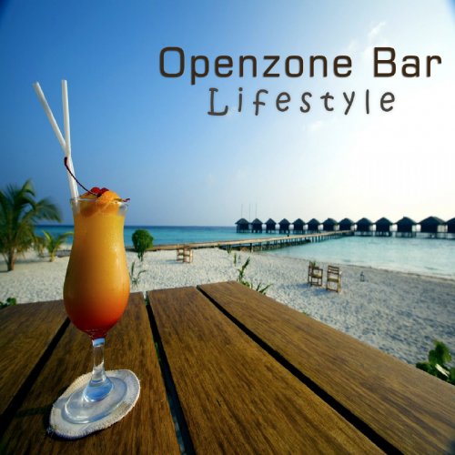 Openzone Bar - Lifestyle (2012)