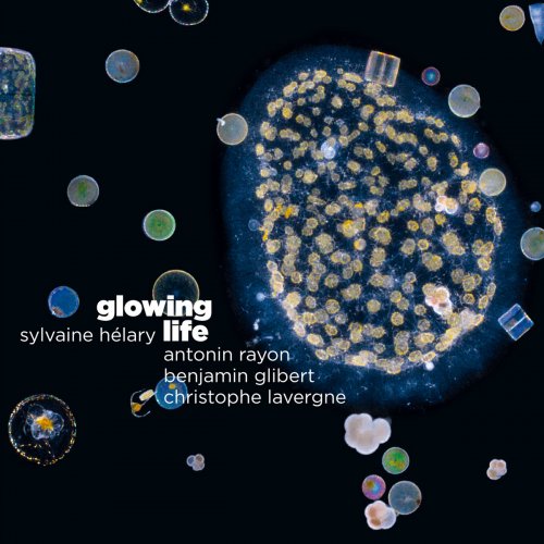 Sylvaine Hélary - Glowing Life (2020) [CD-Rip]