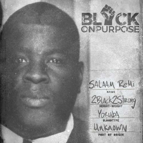 Salaam Remi - Black On Purpose (2020)