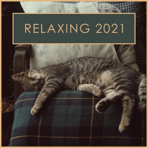 VA - Relaxing 2021 (2021)