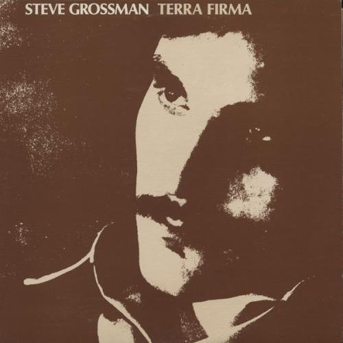 Steve Grossman - Terra Firma (1977) FLAC