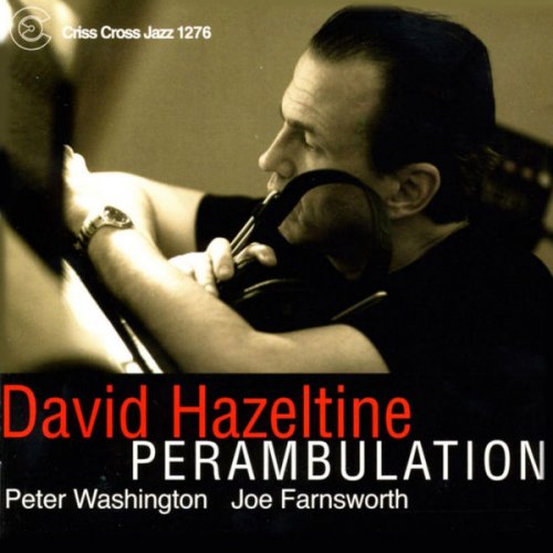 David Hazeltine - Perambulation (2006/2009) FLAC