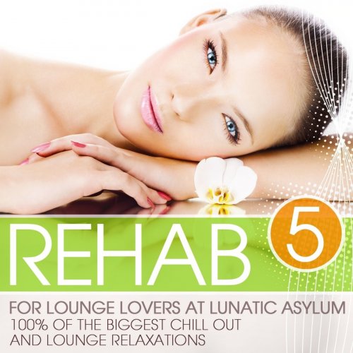 Rehab for Lounge Lovers At Lunatic Asylum, Vol. 5 (100% of the Biggest Chill Out and Lounge Relaxations) (2014)