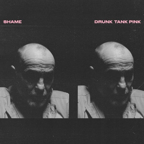 Shame - Drunk Tank Pink (2021) [Hi-Res]