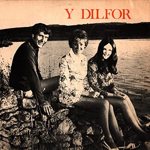 Y Dilfor - Y Dilfor (2021) Hi Res