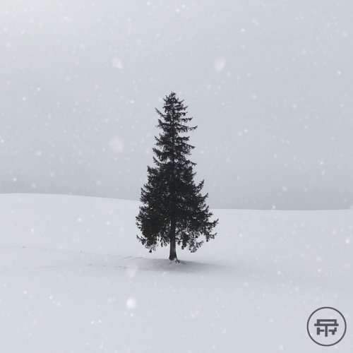 VA - Terabyte Records presents: Winter Warmers (2021)