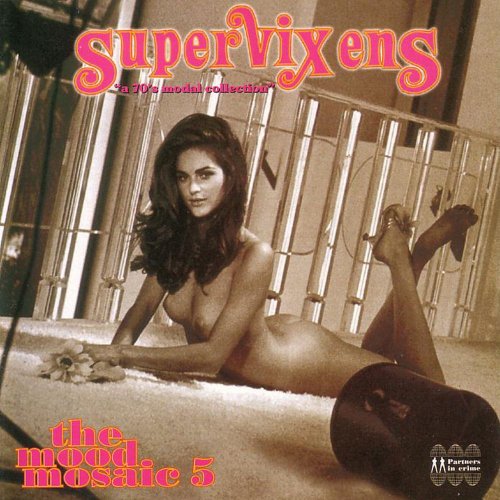 VA - The Mood Mosaic 5 - Supervixens (1997)