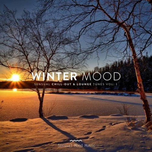 VA - Winter Mood, Vol.1 (2020)