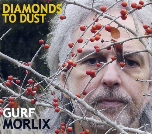 Gurf Morlix - Diamonds to Dust (2007)