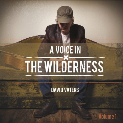 David Vaters - A Voice in the Wilderness, Vol. 1 (2017)