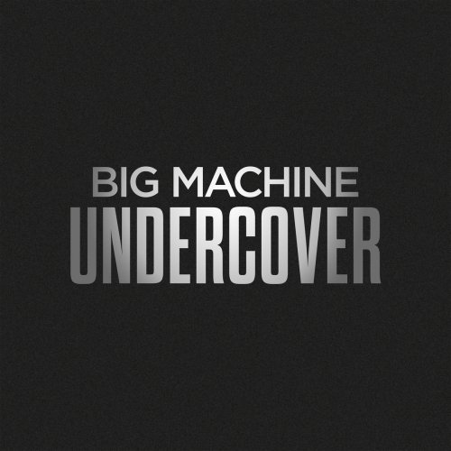 VA - Big Machine Undercover (2018) FLAC