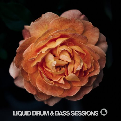 VA - Liquid Drum & Bass Sessions 2019 Vol 4 (2019)