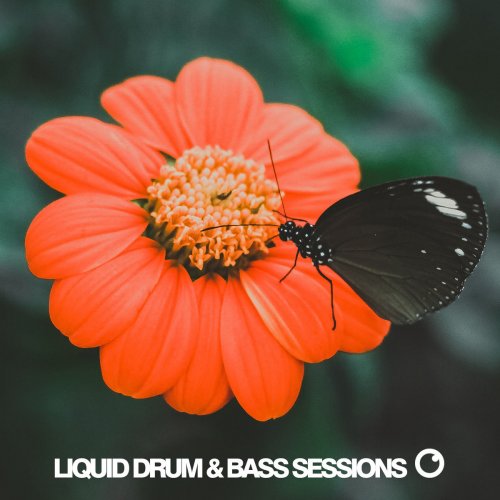 VA - Liquid Drum & Bass Sessions 2019 Vol 5 (2019)