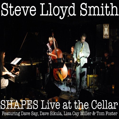 Steve Lloyd Smith - Shapes Live at the Cellar (2021)