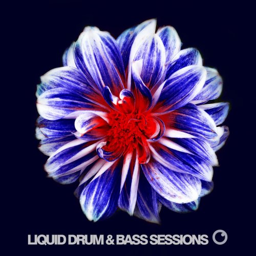 VA - Liquid Drum & Bass Sessions 2019 Vol 6 (2019)