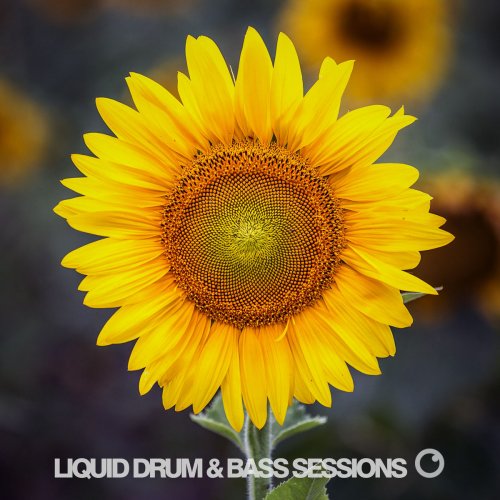 VA - Liquid Drum & Bass Sessions 2020 Vol 7 (2020)