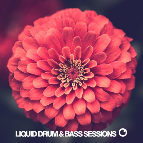 VA - Liquid Drum & Bass Sessions 2020 Vol 8 (2020)