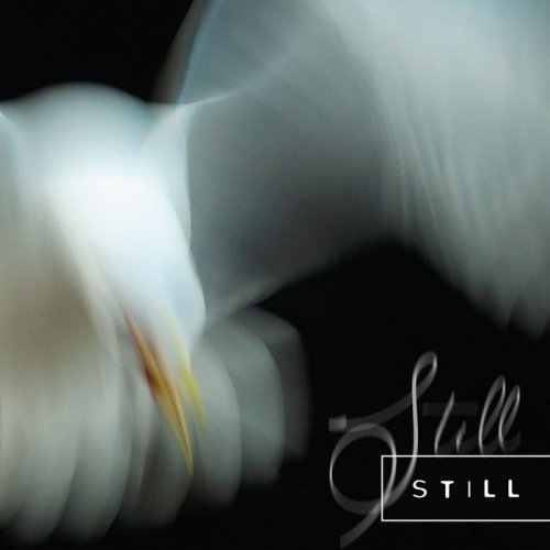 Aria Rostami & Daniel Blomquist - Still (2021)