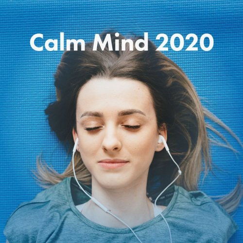 VA - Calm Mind 2020 (2021)