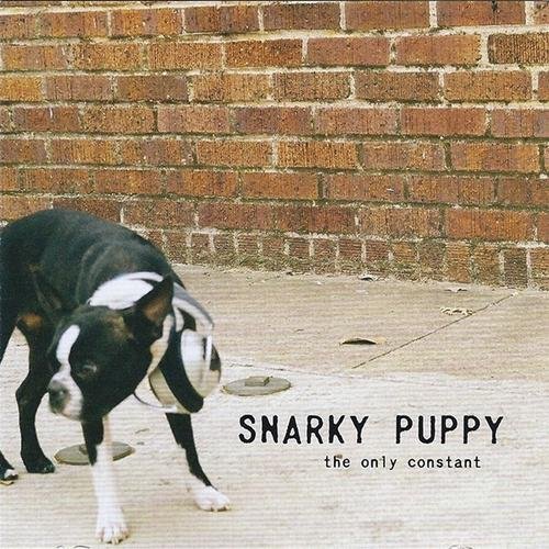 Snarky Puppy - The Only Constant (2006)