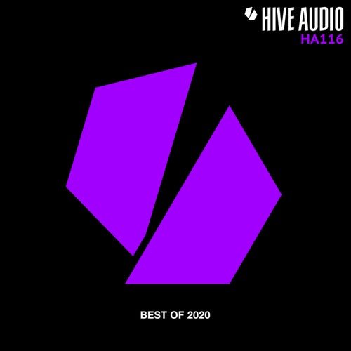 VA - Hive Audio Best of 2020 (2021)