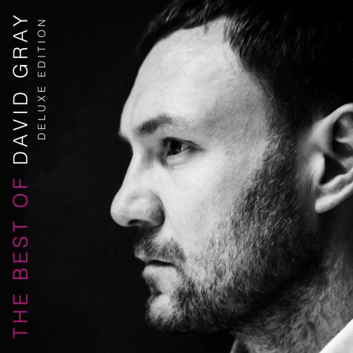 David Gray - The Best Of David Gray (Deluxe Edition) (2016) [Hi-Res]