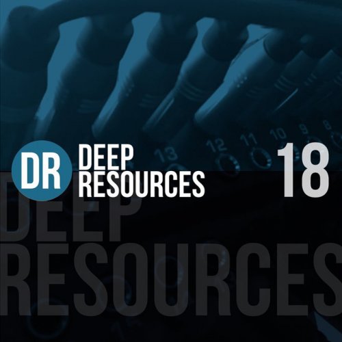 VA - Deep Resoures, Vol. 18 (2021) flac