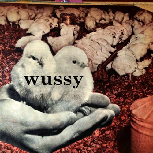 Wussy - Wussy (2009) [FLAC]