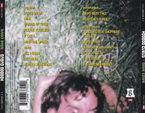 Hoodoo Gurus - Blue Cave (Reissue, Remastered) (1996/2005)