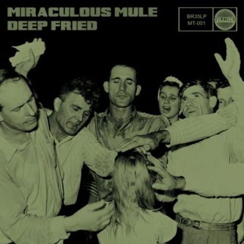 Miraculous Mule - Deep Fried (2013) Lossless