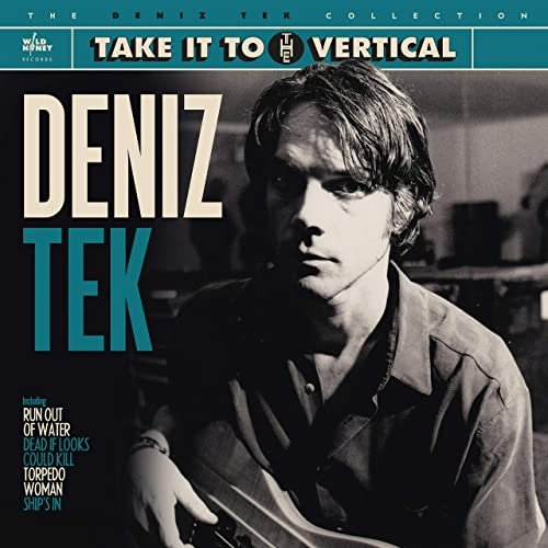 Deniz Tek - Take It to the Vertical (2021) Hi Res