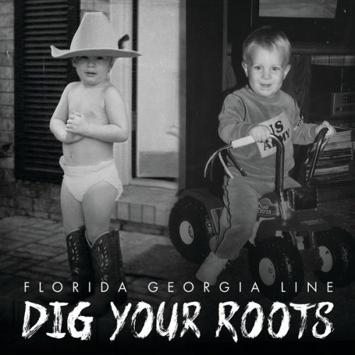 Florida Georgia Line - Dig Your Roots (2020) FLAC